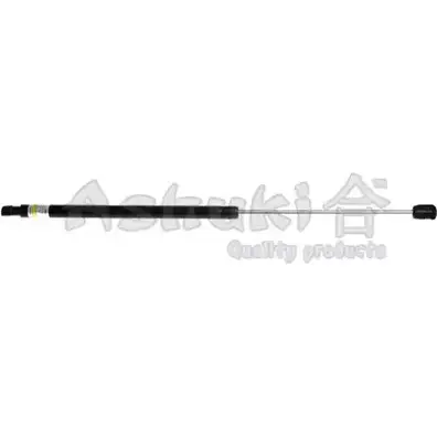 Амортизатор багажника, упор задней двери ASHUKI M DAHA 3058518 6JO3PPH Y925-29