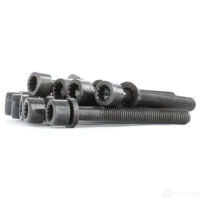 Комплект болтов ГБЦ PAYEN HBS043 D ZXIRG 1177540 - Изображение 1