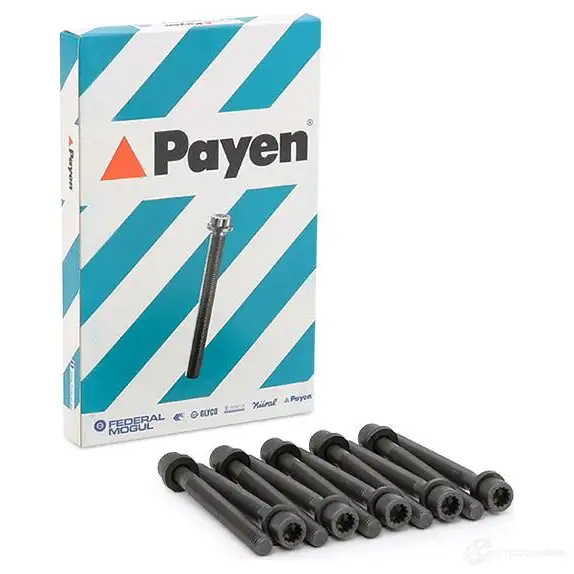 Комплект болтов ГБЦ PAYEN XOF TC 1177525 HBS018 - Изображение 1