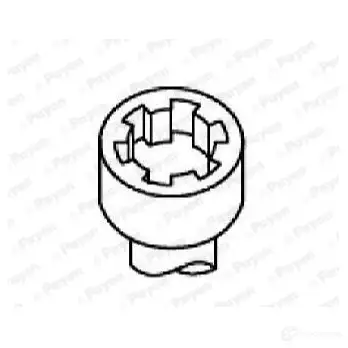 Комплект болтов ГБЦ PAYEN GV M9EAX 1177822 HBS517
