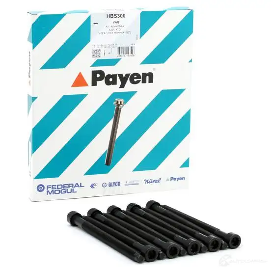 Комплект болтов ГБЦ PAYEN 1177691 ALTA OLE HBS300 - Изображение 1