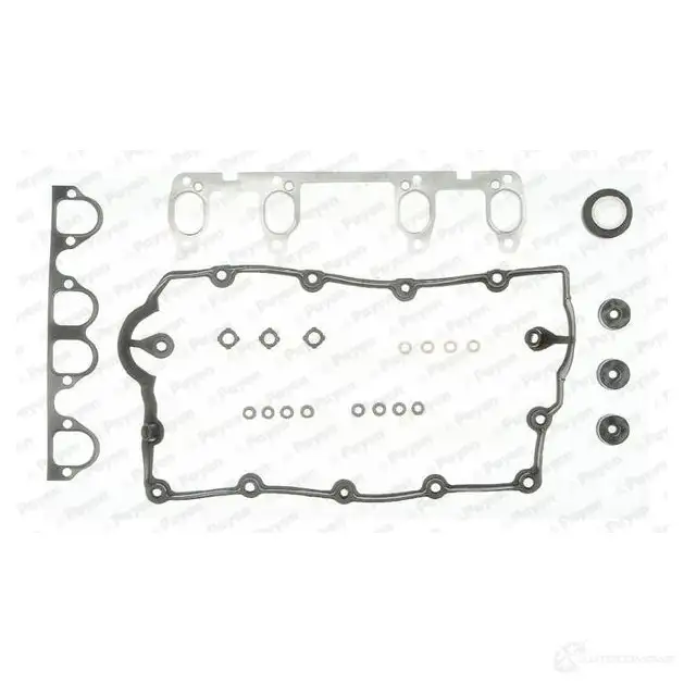 Комплект прокладок двигателя PAYEN 1175165 48 Y50 CC5230