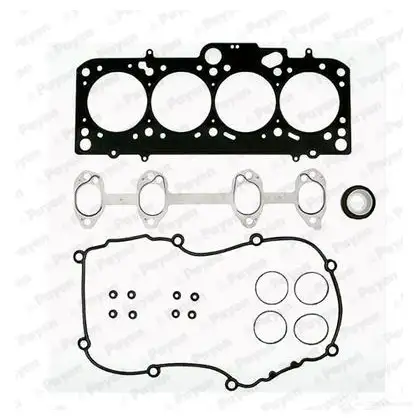 Комплект прокладок двигателя PAYEN RLG 4A CC5222 1175163