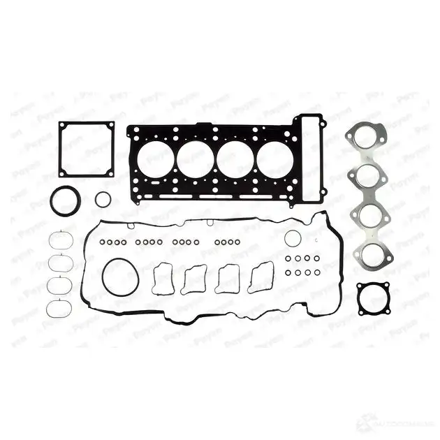 Комплект прокладок двигателя PAYEN IYX6U EV CG8790 1175437