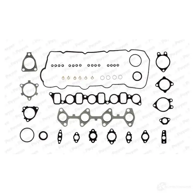 Комплект прокладок двигателя PAYEN WM CKC3A 1175387 CG7520 изображение 0