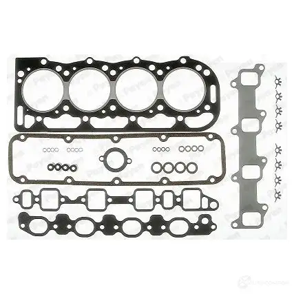 Комплект прокладок двигателя PAYEN 0D8J 7 1176235 DS990 изображение 0
