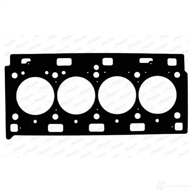 Прокладка ГБЦ PAYEN 6W3UC 0 1173689 AE5210