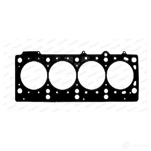 Прокладка ГБЦ PAYEN AC5550 4044197106530 1173573 R0 8ROA