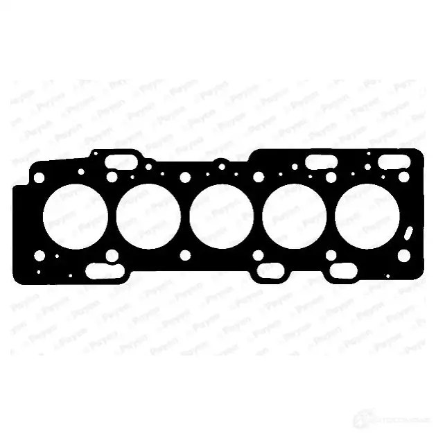 Прокладка ГБЦ PAYEN 1173694 AE5280 A 8TPB изображение 1