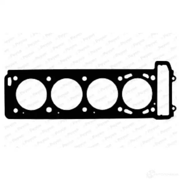 Прокладка ГБЦ PAYEN AE5060 1173682 E6 GBWMP изображение 1