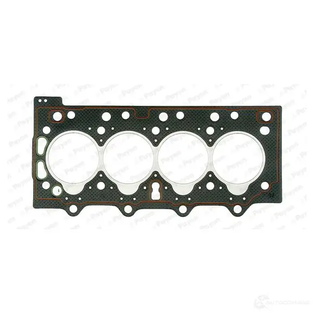 Прокладка ГБЦ PAYEN AD5190 1173622 0S DTA9 - Изображение 1