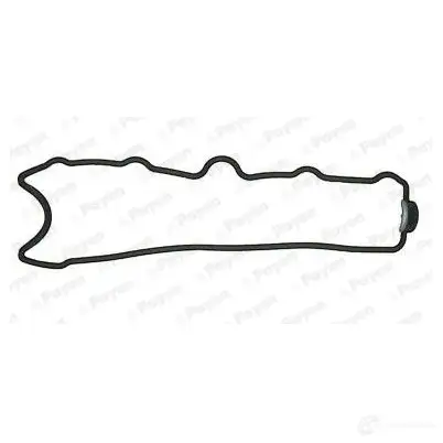 Прокладка клапанной крышки PAYEN JP008 CR 5SVJP 1180089 изображение 0