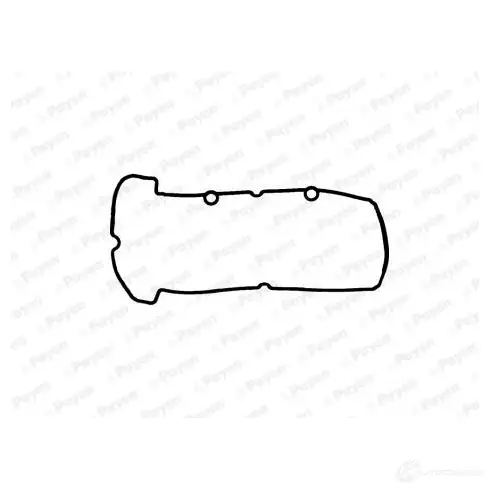 Прокладка клапанной крышки PAYEN X SPRK03 JM7145 1424216223