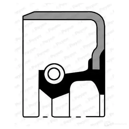 Прокладка впускного коллектора PAYEN nc052 1180649 1F C9CK