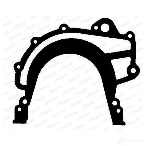 Прокладка масляного насоса PAYEN LT384 2W 1U50T 1423342892
