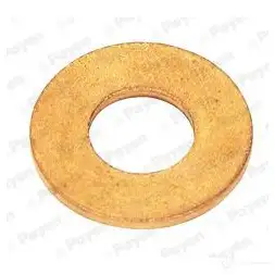 Шайба топливной форсунки PAYEN 1437133127 LQ0H X KG5078