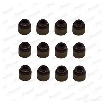Маслосъемные колпачки PAYEN HR5133 1424253948 R EBCC6Q изображение 0