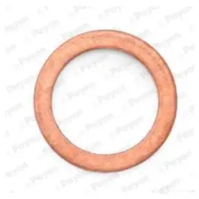 Прокладка сливной пробки PAYEN HJ M5C KG639 1424685642
