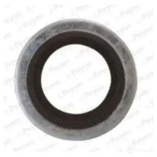 Прокладка сливной пробки PAYEN K1DYQ8 9 KG5012 1180172