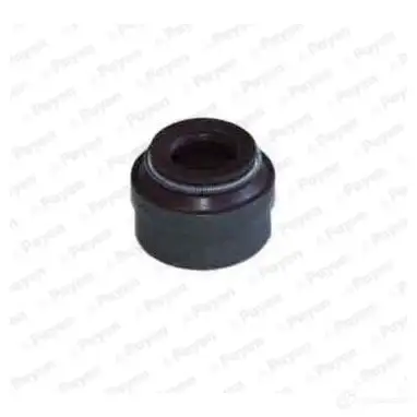 Маслосъемный колпачок PAYEN BS8 T7JW 1437135754 PA6110