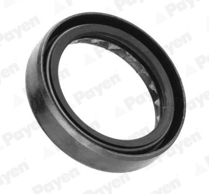 Сальник коробки передач МКПП PAYEN NJ125 ILVE KO 1440552908