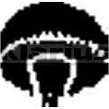 Кронштейн крепления глушителя KLARIUS 7772E 3074179 420237 NUU HT1Y