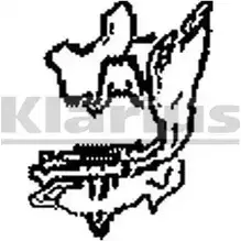 Кронштейн крепления глушителя KLARIUS T0MH2 M RAXK 3074728 430347 изображение 0