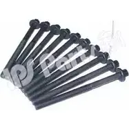 Болты ГБЦ, головки блока цилиндров IPS PARTS 3106894 ICB-9111 DZFX RTL LLZP28M