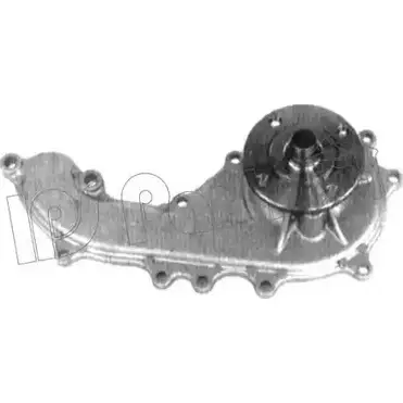 Водяной насос, помпа IPS PARTS W6M9 9 IPW-7252 1QJH8B 3110851