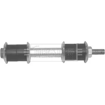Стойка стабилизатора, тяга BORG & BECK 47S2WI BDL6918 XD PT1QU 3156609 изображение 0
