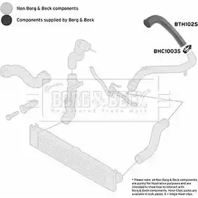 Патрубок интеркулера BORG & BECK 3166344 NQF DO9 bth1025