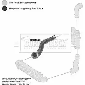 Патрубок интеркулера BORG & BECK bth1330 TMX DAM 3166648