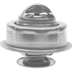 Термостат ож BORG & BECK 3169052 20RX61L LWVYIQ I BTS165.87