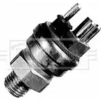 Датчик включения вентилятора радиатора BORG & BECK 8WO 6F 3169330 BTS919.100 G7LIV