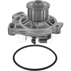 Водяной насос, помпа BORG & BECK P2CWG2H BWP1512 V74 1G 3171080