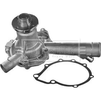 Водяной насос, помпа BORG & BECK 3171266 J41RP BWP1774 UZ 17RSZ