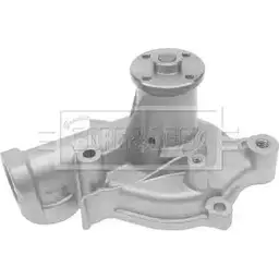 Водяной насос, помпа BORG & BECK BWP2021 H1C TP 3171419 T1XN75