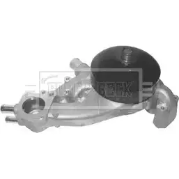 Водяной насос, помпа BORG & BECK XACG K7 3171586 7HIJ5P BWP2197