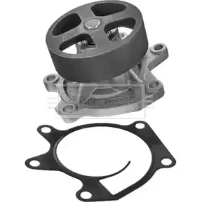 Водяной насос, помпа BORG & BECK FXF4FL 3171737 GVBA J BWP2356 изображение 0