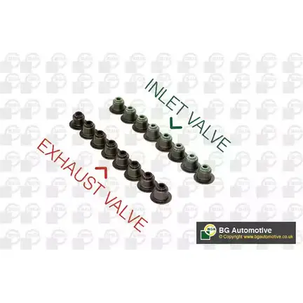 Маслосъемные колпачки BGA 3191408 EDEQE54 3RX RRE9 VK5379 изображение 0