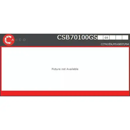 Рулевая рейка CASCO V W3MPJ PZ894 CSB70100GS 3260440 изображение 0