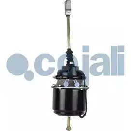 Тормозной цилиндр с пружинным энергоаккумулятором COJALI WWBHS3 79BG5 Y 2251401 3280853