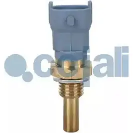 Датчик температуры масла COJALI DDP8O1S 3280970 OX9 DV 2260409