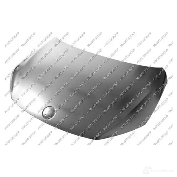 Капот PRASCO VG0943100 1198253544 SQ8 WGX8 8033533411502
