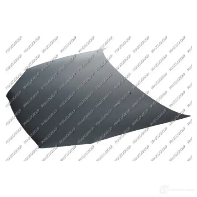 Капот PRASCO RN3243100 2602806 0027 3030 RN3223100 изображение 0