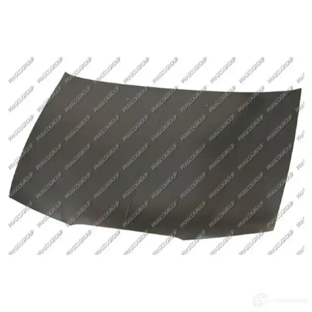Капот PRASCO rg4203100 01 025030 2602047 ZJY837N