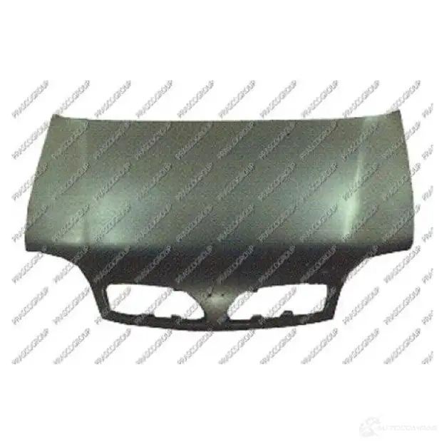 Капот PRASCO 2580563 DS0073100 DS009310 0 ZCKLNR