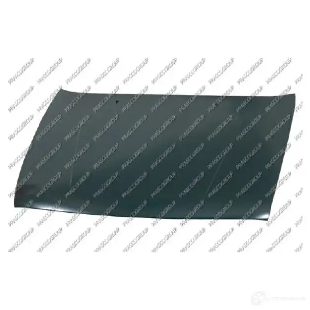 Капот PRASCO 2582333 HD5J4 fd0503110 00 446030