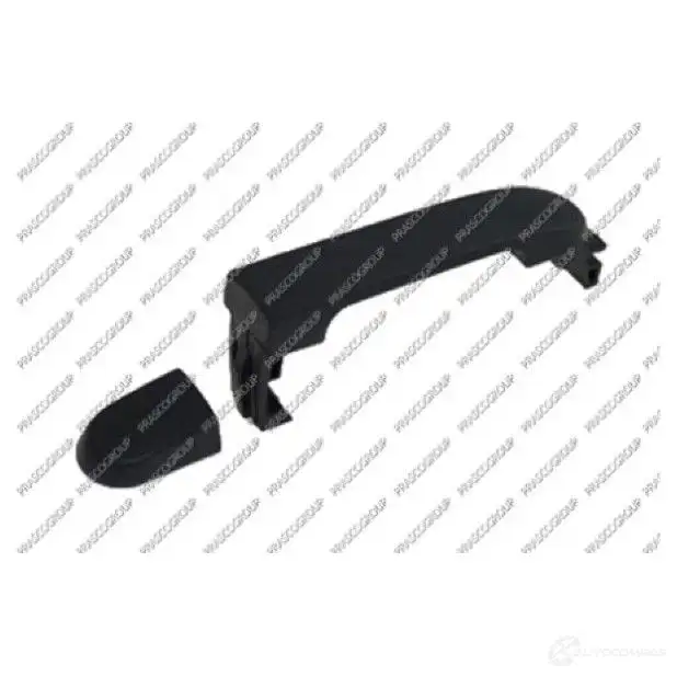 Ручка двери PRASCO DS0118201 8033533323775 1225544926 L6 288