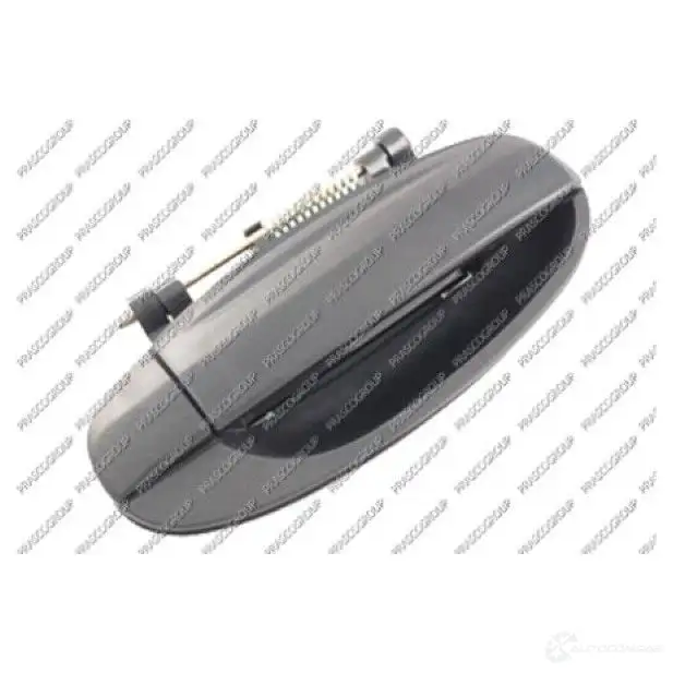 Ручка двери PRASCO DW3268101 0VE 5Q 8033533320866 1225548434